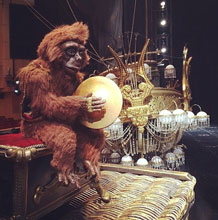 Увеличить иллюстрацию- Enlarge